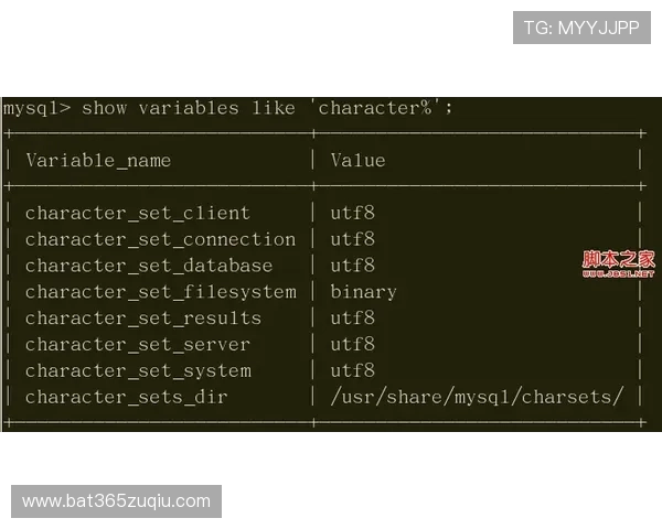 yinbet登陆遇到问题怎么办详解常见登录故障及解决方案建议